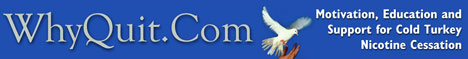 WhyQuit.com's small banner