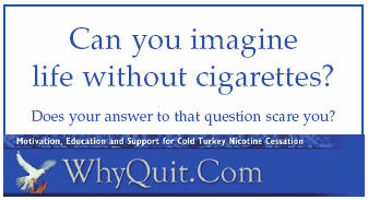 WhyQuit.com Explore WhyQuit.com